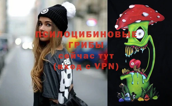 соль ск Аркадак